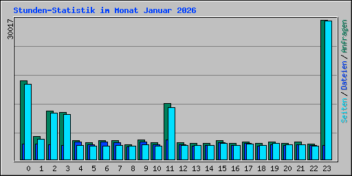 Stunden-Statistik im Monat Januar 2026