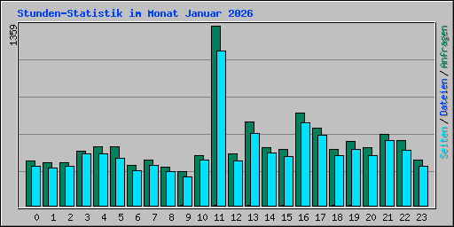 Stunden-Statistik im Monat Januar 2026