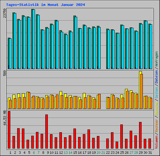 Tages-Statistik im Monat Januar 2024