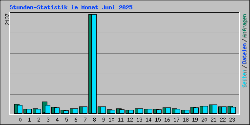 Stunden-Statistik im Monat Juni 2025