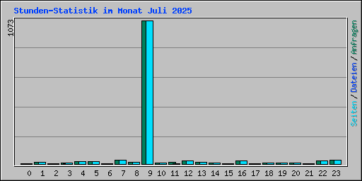 Stunden-Statistik im Monat Juli 2025