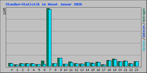 Stunden-Statistik im Monat Januar 2026