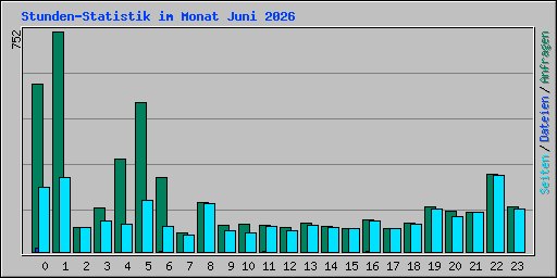 Stunden-Statistik im Monat Juni 2026