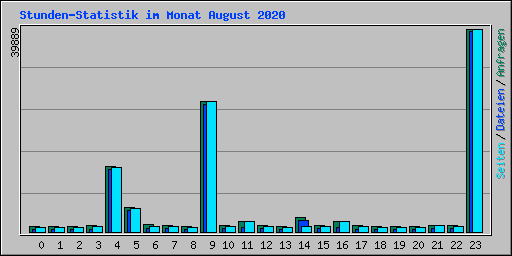 Stunden-Statistik im Monat August 2020