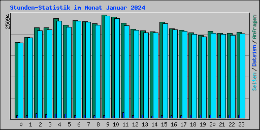 Stunden-Statistik im Monat Januar 2024
