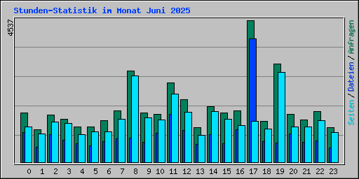 Stunden-Statistik im Monat Juni 2025