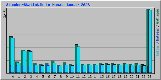 Stunden-Statistik im Monat Januar 2026